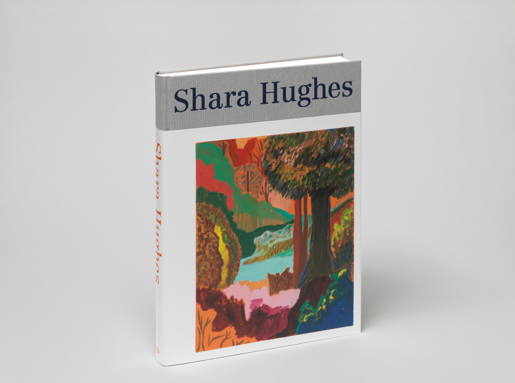 Shara Hughes Monograph